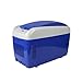 PXQ Mini frigorifero a doppia funzione Cool e Warm Cooler elettrico Cool Box 5L/8L/20L tre opzioni Frigorifero portatile per auto e casa, viaggio e campeggio, Bluewhite, 8 l