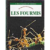 Paperback Les fourmis : Des insectes très organisés [French] Book