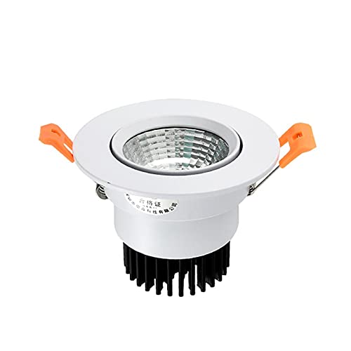 LYMSXAZOU Foco LED de Interior con Fondo Ajustable, Luces empotrables de Techo, downlights Decorativos de Aluminio para Pasillo y Sala de Estar (Color: 6000K (luz Blanca), Tamaño 30w) Interesante