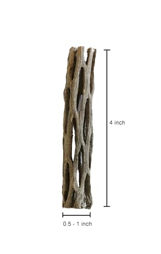Natural Cholla Wood for Aquarium Decoration Shrimp and Fish Tank (4 Inch (3 Pack)) - Image 5