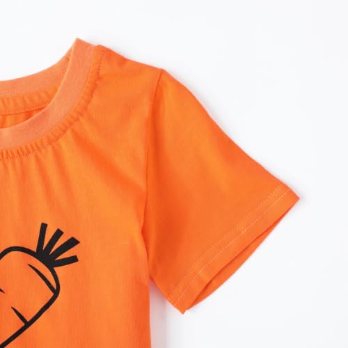 Image of HILEELANG Toddler Boy Summer Outfit Set 2 Piece Short Sleeve T Shirt and Short Soft Breathable Cotton Clothing Sets 2-7T