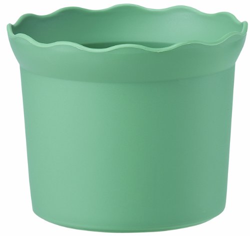 avX`bN E|bg m[u|bgA 4 120×H105 O[