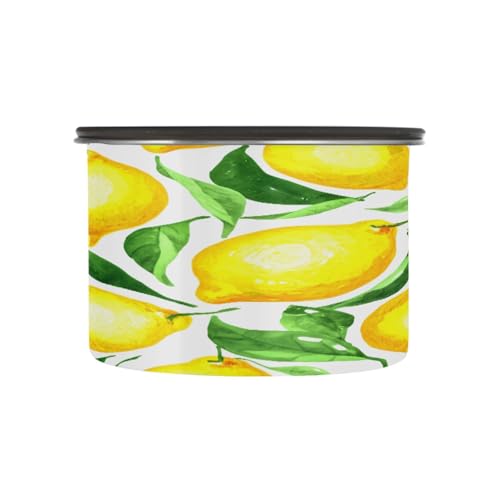 Contenedor de almacenamiento para café al vacío Qilmy 17oz