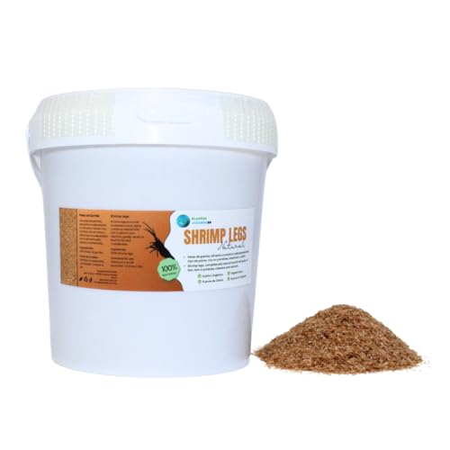 Acuarios Pequeños Agua Fria Marca PlantasAcuario