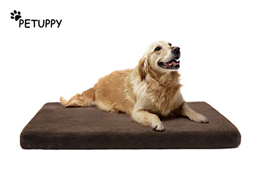 Best Gel Mattress For Dogs