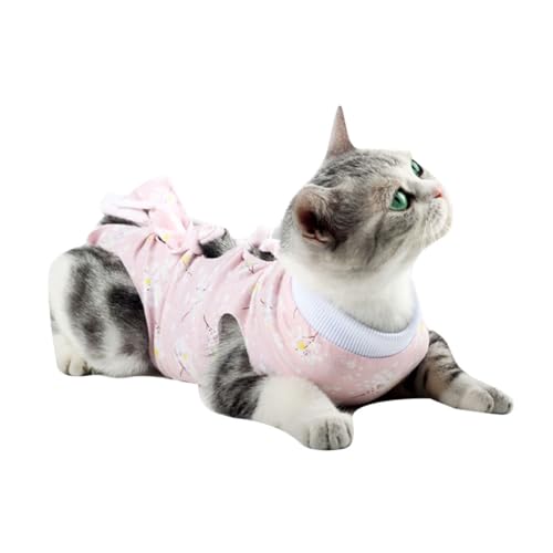 TOKIDNY Lp㕞 ʋCLkf Kȏp㕜p ybgprߖh~ sN~ԕ