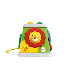 Fisher-Price FYK64 Pak & Draai Activiteitenkubus