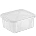 Produktbild Rotho Arco 8er - Set Aufbewahrungsboxen 2 l mit Deckel, Kunststoff (PP), transparent, 2 Liter (19,8 x 16,5 x 8,6 cm)