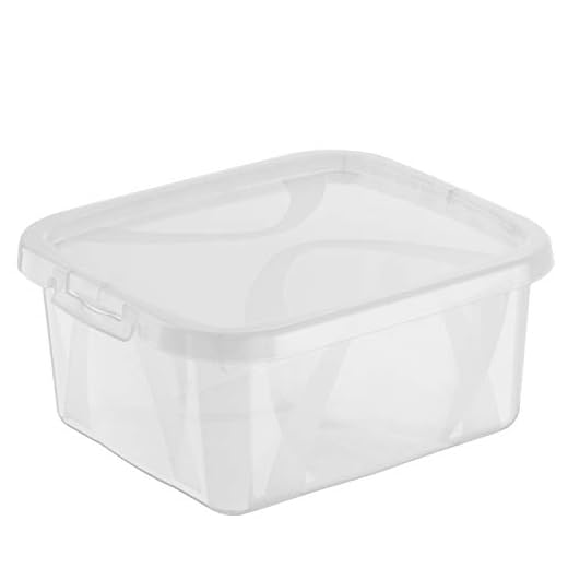 Rotho Arco 8-pack förvaringslådor 2 l med lock, plast (PP), transparent, 2 liter (19,8 x 16,5 x 8,6 cm)