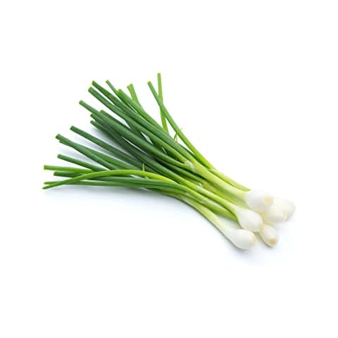 Starlight Salad Onion Plug Plant Pack Cover