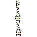 iplusmile DNA Model Kit Double Helix Structure DNA Models Biological Science Popularization Teaching Aids Early Education Toys for DNA Assembling