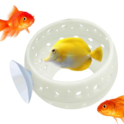 ベッタトンネル、吸盤 水族館 洞窟 魚トンネル | エビ、ベタ生息地、小さな魚やエビのためのプランター おもちゃ