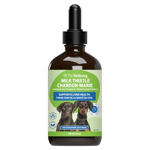 Milk Thistle Herbal Support for Dogs