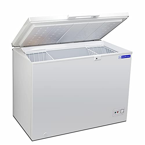 Image of BLUE STAR CHFSD100FHSW Single Door Deep Freezer (100 Ltrs, White)