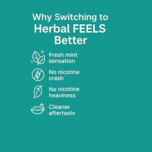 Image of ROYAL SWAG Mint Flavour Wellness Sticks 10 Sticks Each Pack of 2 Boxes Ayurvedic Herbal Blend Wellness Sticks