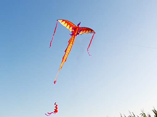 ZHUOYUE Dragon Kite for Kids 40x75 Inch,Easy Fly Kite Single Line Kites with Long Tail and Kite String