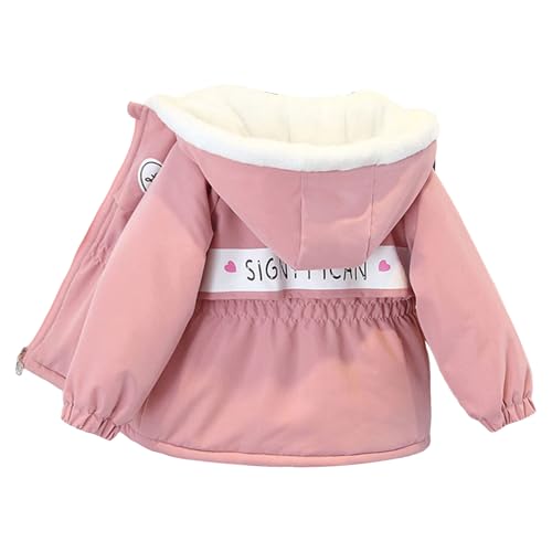 yGElCz[Pogowu] LbY {AWPbg ̎q j̎q WjA q  N t[ht WbvAbv   h ۉ y g jp 90-140 H~ ʉ ʊw o AE^[