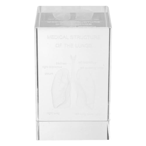 Modèle pulmonaire en cristal 3D cube anatomique pour l'enseignement médical