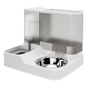 Bimhayuu Automatic Dog Feeder,2 in 1 Automatic Cat Feeder with 2.8L Feeders+1L Drinking Bowls,Small and Medium-Sized Pet Feeder, Wet and Dry Separation Feeding and Watering Together Machine (Grey)