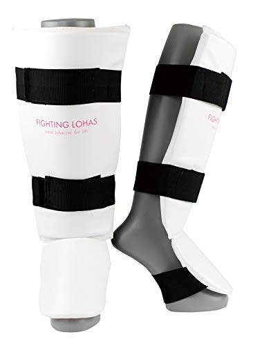 ISAMI CT~ t@CeBOnX ȃbOK[h FL-2 (, M)