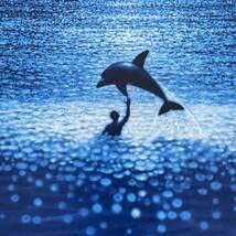 Amazon.co.jp: フランス版ポスターグラン・ブルー（Le Grand Bleu）#1