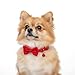 2 Pcs in one Pack Red&Blue Colored Cat and Small Dog Collars with Bow Tie and Bell, Breakaway Design with Safety Release Buckle