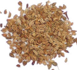 Ajowan Essential Oil (Trachyspermum copticum) 100% Pure and Natural - 1OZ-30ML