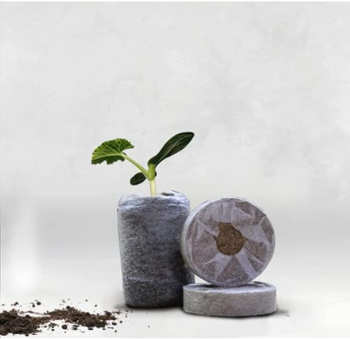 See full amazon price history chart for ORGANIC Seed Germination Root Plug Hydroponics Grow Plug,4X4X1 cm (Set of 100) ORGANIC Seed Germination Root Plug Hydroponics Grow Plug,4X4X1 cm (Set of 100) (B09J8F4DYH) Amazon Price History, Amazon Price Tracker