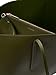 Imagen de Calvin Klein LV04F3274G