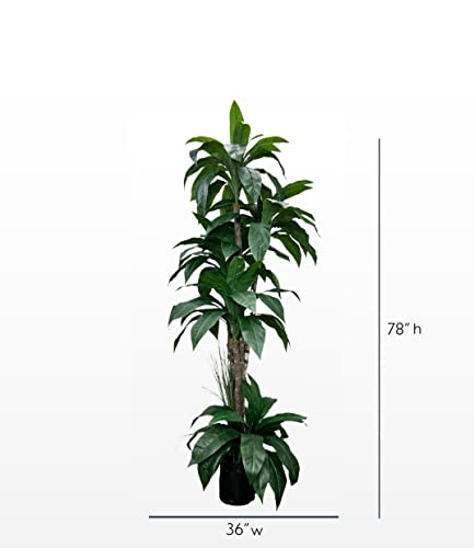 Hand-Made 6.5' Tropical Cradle Artificial Tree With Ethically Sourced Real Wood Trunks | Green | Cypress & Alabaster #TOP2