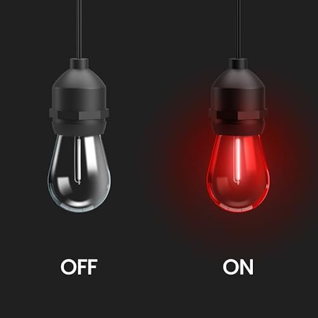 Feit Electric Outdoor String Light 24ft White Filament Color Changing SL24-12/RGBW/WFIL/AG