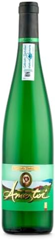 AMEZTOI vino blanco txakoli DO Getariako Txacolina botella 75 cl