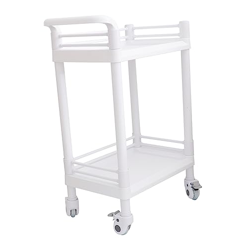HONMEET Stylist Multipurpose Beauty Machine Cart Salon Trolley Salon Trolley Abs Plastic Storage Small