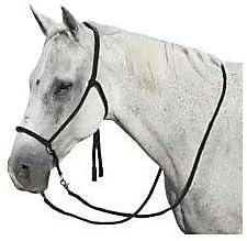 Mustang Nylon Bitless Bridle w/Reins Black