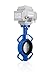 UNOX Butterfly Valve DN80 (3