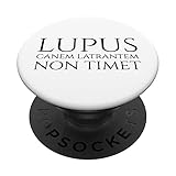 Photo Gallery lupus non timet canem latrantem - antica frase romana latina popsockets popgrip intercambiabile Photo Gallery lupus non timet canem latrantem - antica frase romana latina popsockets popgrip intercambiabile