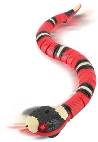 Aoasious Lp dwr Aɓ ŉB USB[d qLELΉ ^sȄdǗEXgX hbLEnEBENX}X Mtg