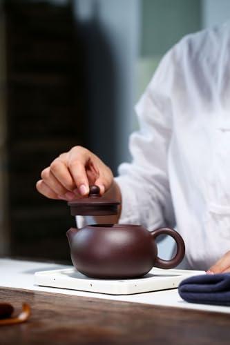 Image of Xishi Teapot 9oz Chinese Yixing Zisha Clay Pot Snap-lid Ceramics Purple Sand Mud Kungfu Tea Set Kettle 14 Hole Filter (purple 270ml)