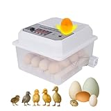 Joyfox Incubadora Automática 16-24 Ovos com Viragem Automática, Dupla Alimentação 127V/12V, LCD, Luz de Ovos e Modos Inteligentes – Ideal para Galinhas, Patos, Codornas e Gansos