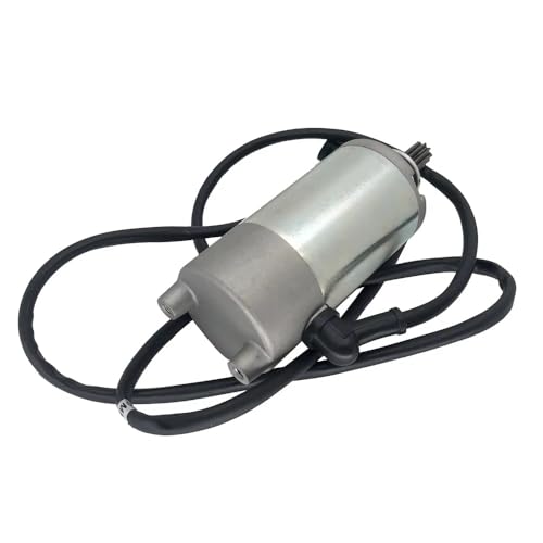 Démarreur moto pour Loncin et JS250 250cc de Quad Puma