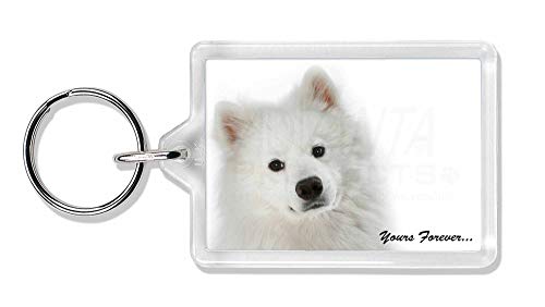Preisvergleich Produktbild Advanta - Keyrings Samojede Hund ' Yours Forever' Foto Schlüsselbund TierstrumpffüllerGeschenk