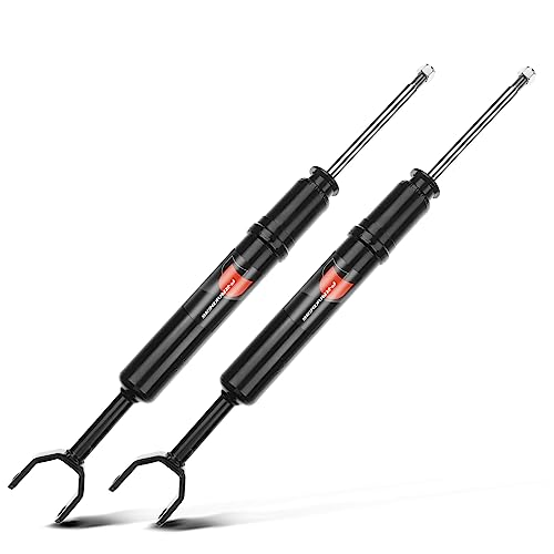 Frankberg 2x Ammortizzatore Pressione del gas