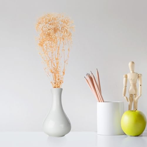 Ramo de flores secas Babysbreath Abaodam 120g beige miniatura 4