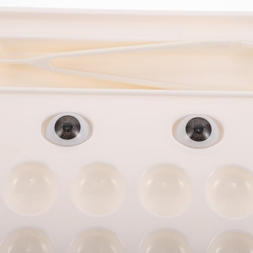 Caja de plástico para lentes que organiza compartimentos y evita pérdidas 3