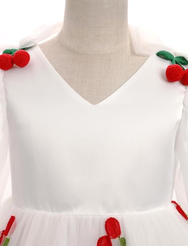 OBEEII Girls Mesh Long Sleeve Strawberry/Hearts/Cherry Tulle Dress Flower Girl Wedding Pageant Birthday Party Dress4