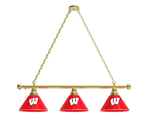 Holland Bar Stool Co. Wisconsin W 3 Shade Billiard Light with Brass Fixture by The