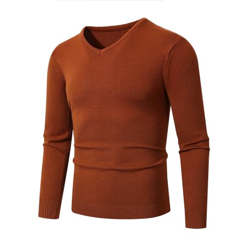 Men's V-Neck Long Sleeve Sweaters Slim Fit Regular Fit Casual Pullover Sweaters Soft Lightweight Knitted Sweaters