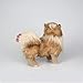 CU-MATE 11.5 Inch- Pomeranian Puppy Toys Dog -Plush Stuffed Animal Realistic Dog Plush Toy Pet Present Gift