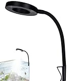 Utilisation polyvalente pour les plantes et les poissons : idéale pour soutenir la croissance des plantes dans les aquariums ou terrariums ouverts, cette lumière fournit le spectre nécessaire pour la photosynthèse tout en accentuant la beauté de vos animaux de compagnie aquatiques et la décoration aquatique