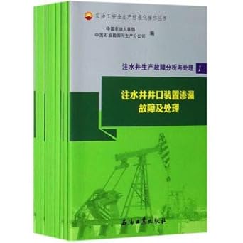 Amazon.com: Production and injection well failure analysis process (set ...